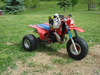 Martys 1985 atc 250r